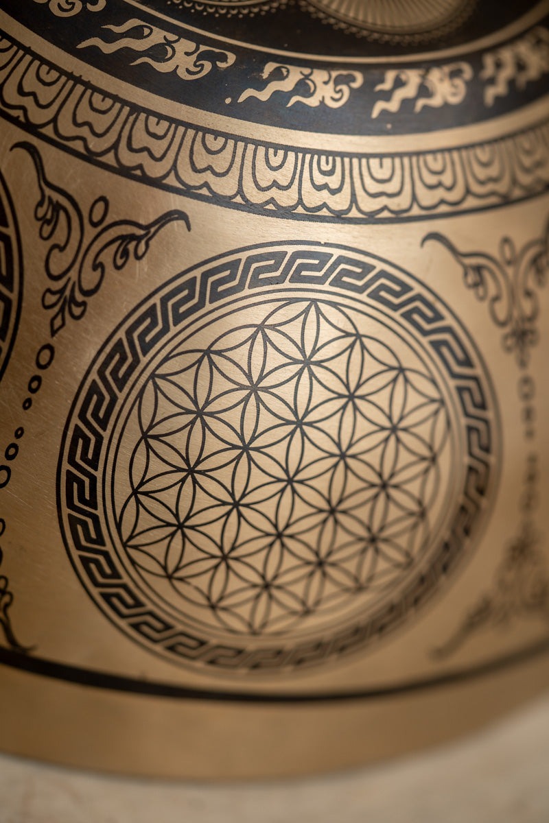 Mandala Wisdom Eyes Singing Bowl for meditation.