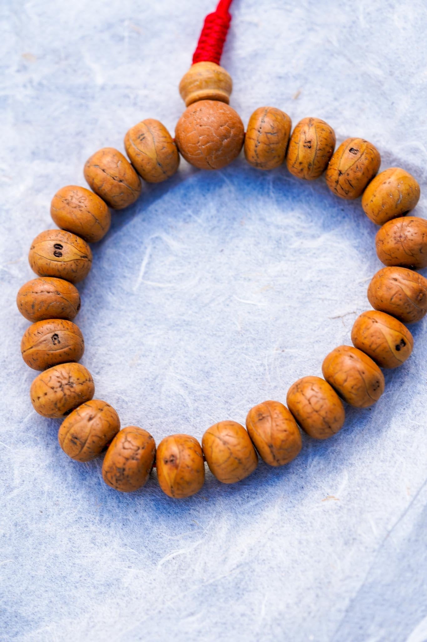 Bodhi Seed Bracelet - ADJUSTABLE - Lucky Thanka
