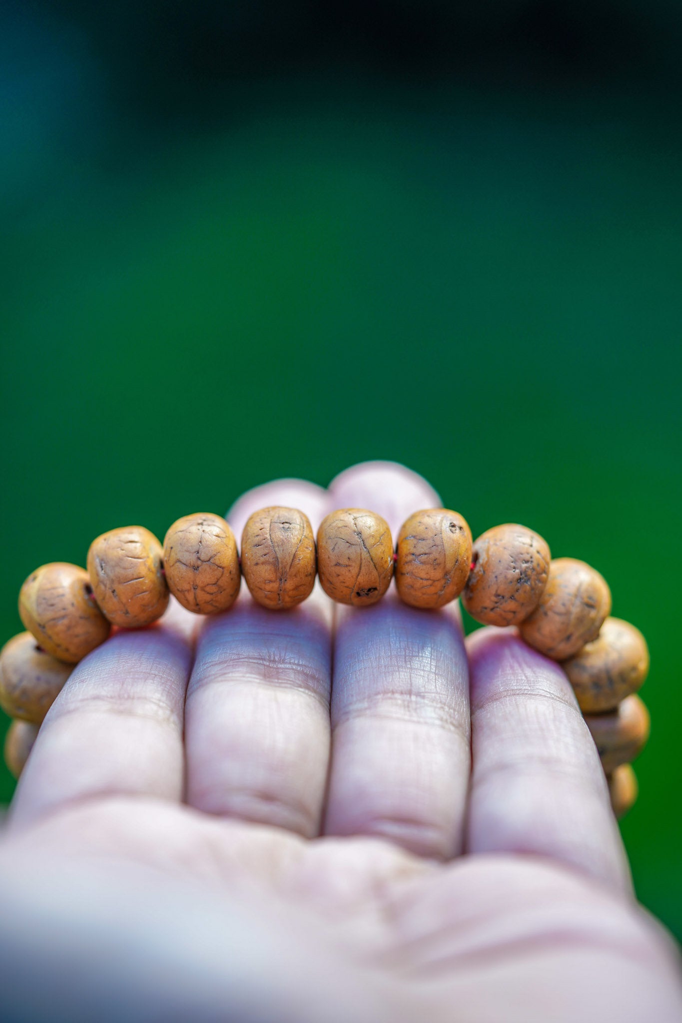 Bodhi Seed Bracelet - ADJUSTABLE - Lucky Thanka