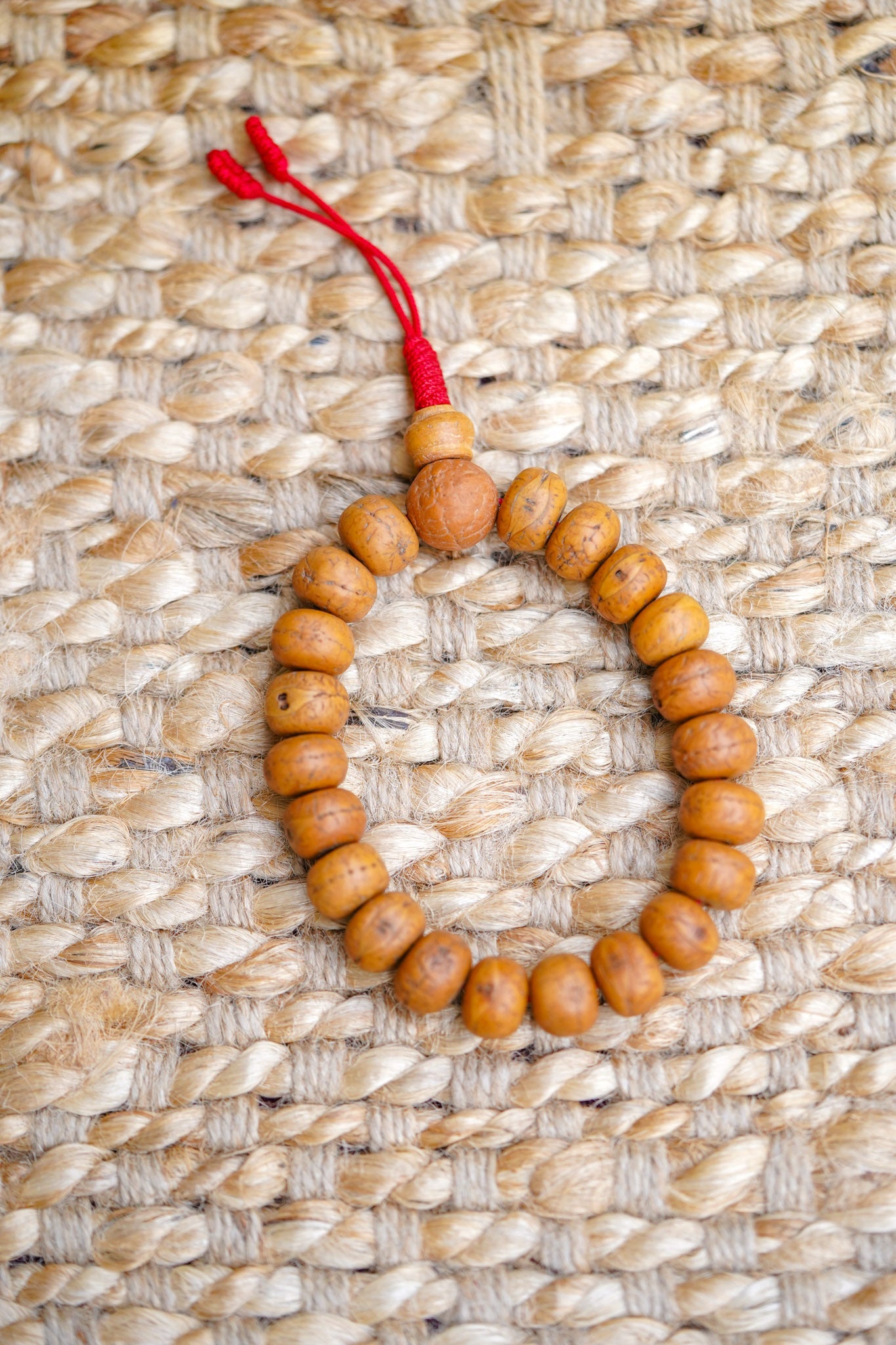 Bodhi Seed Bracelet - ADJUSTABLE - Lucky Thanka