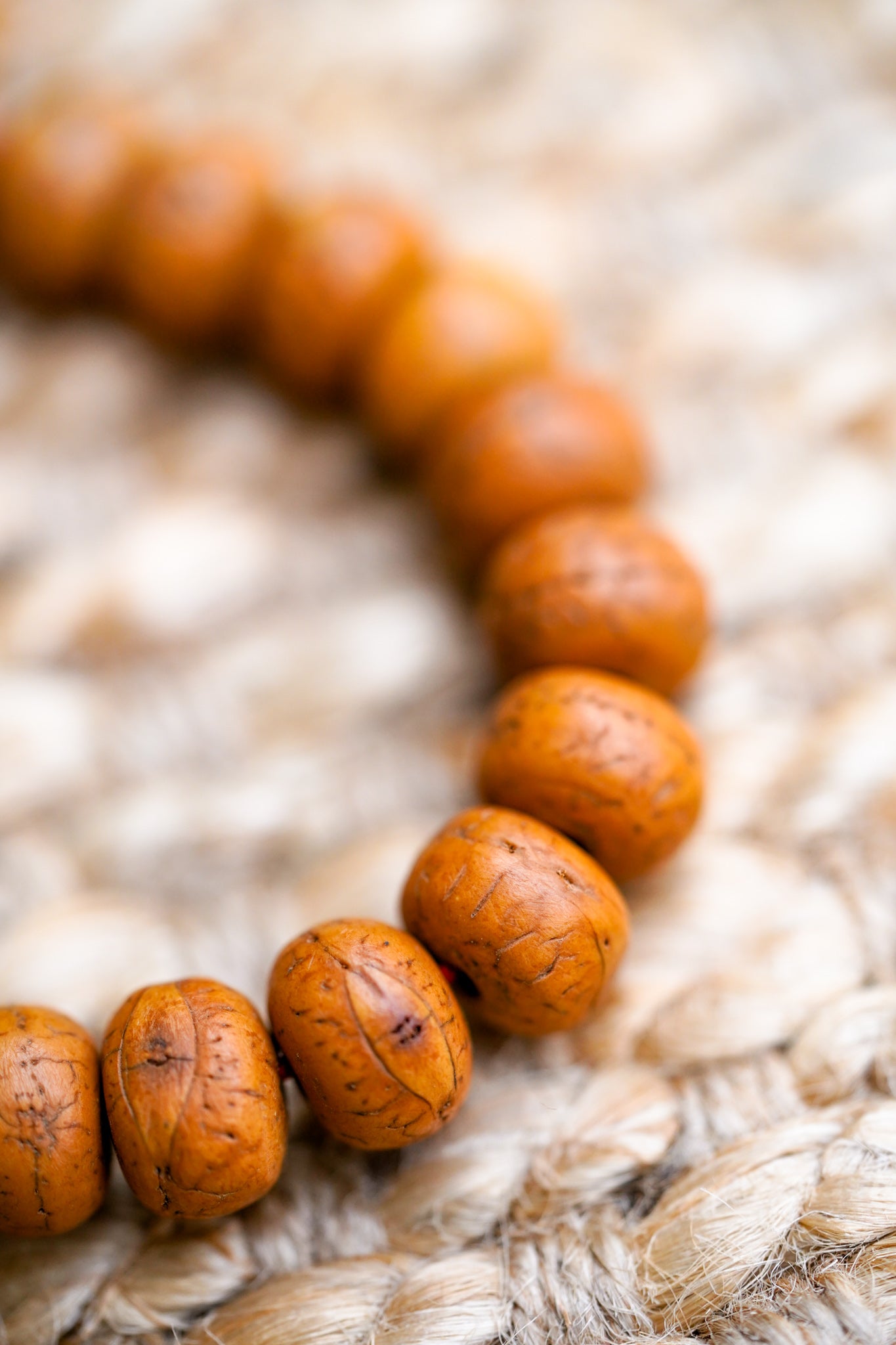 Bodhi Seed Bracelet - ADJUSTABLE - Lucky Thanka