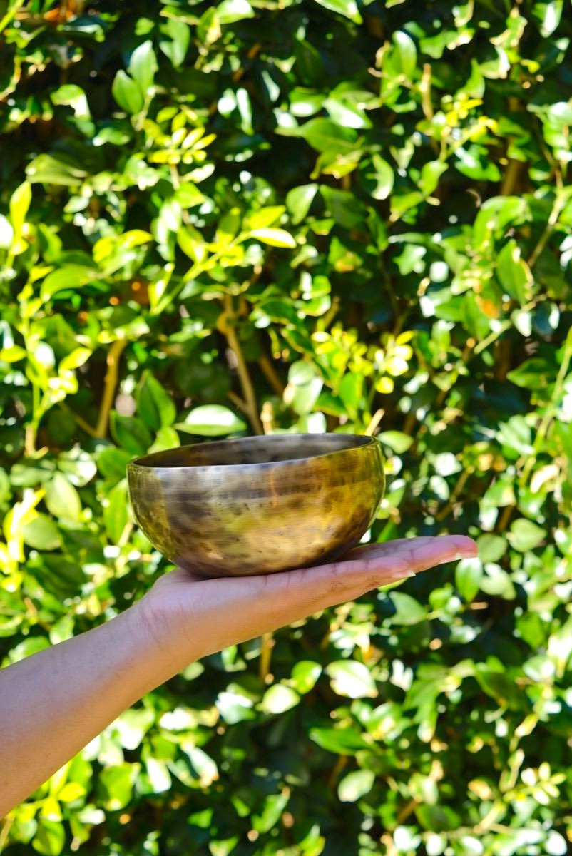 Hand Hammered Tiger Style Singing Bowl - Lucky Thanka