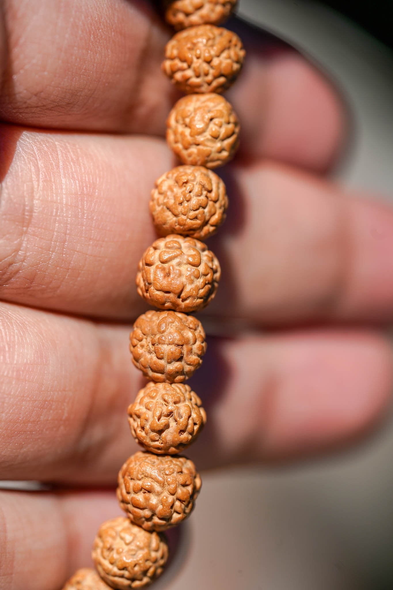 Rudraksha Bracelet - Lucky Thanka