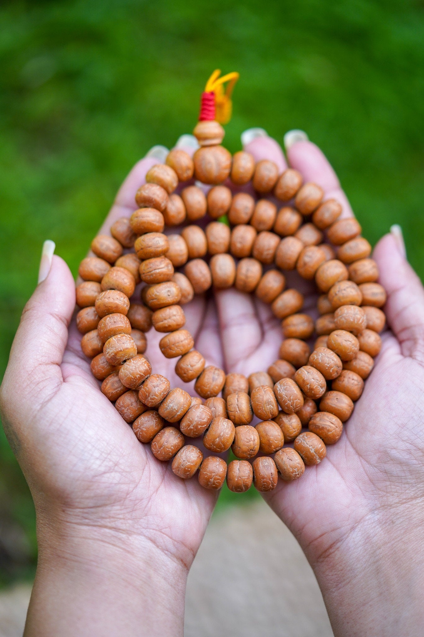 Genuine Bodhi Japa Mala - Lucky Thanka