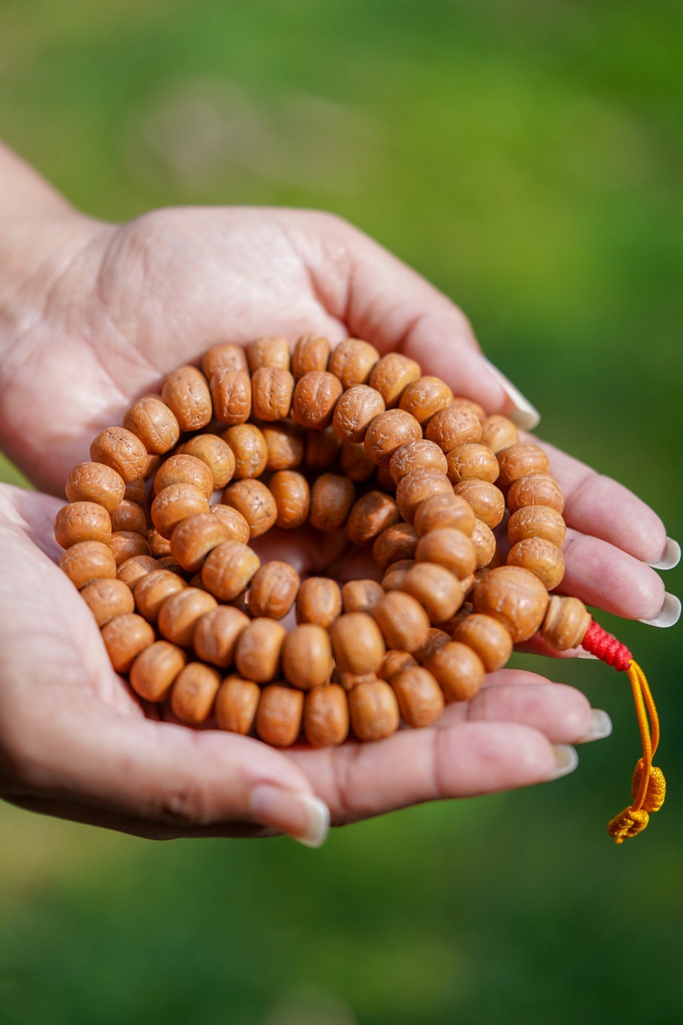 Genuine Bodhi Japa Mala - Lucky Thanka