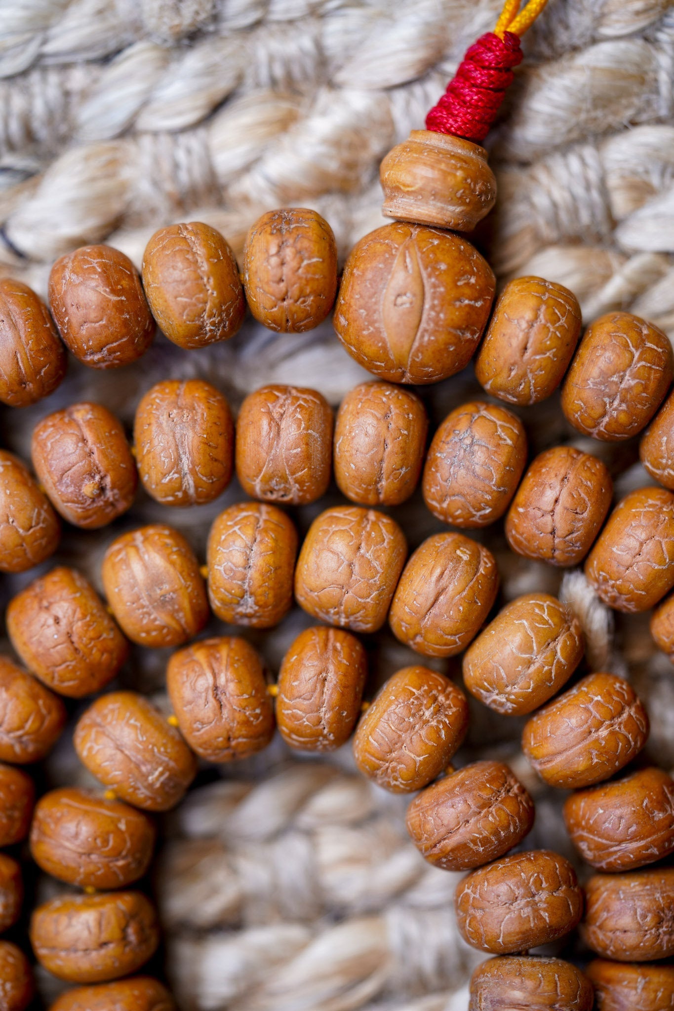 Genuine Bodhi Japa Mala - Lucky Thanka