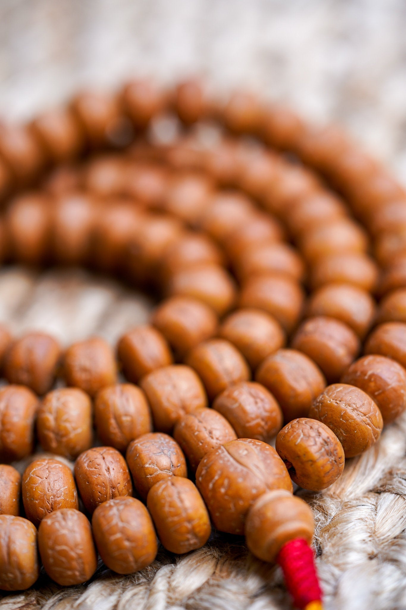 Genuine Bodhi Japa Mala - Lucky Thanka
