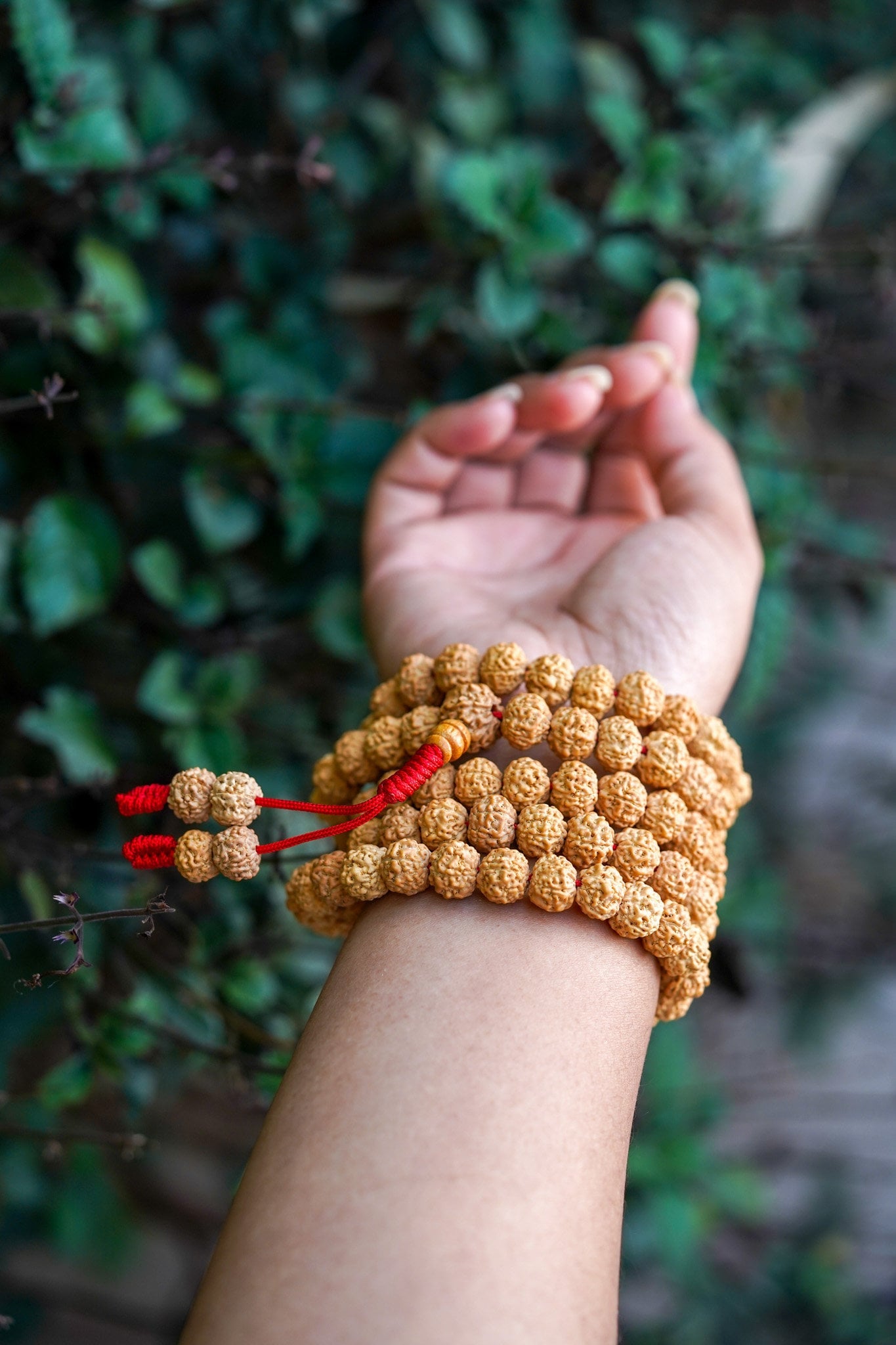 Natural Rudraksha Mala - Lucky Thanka