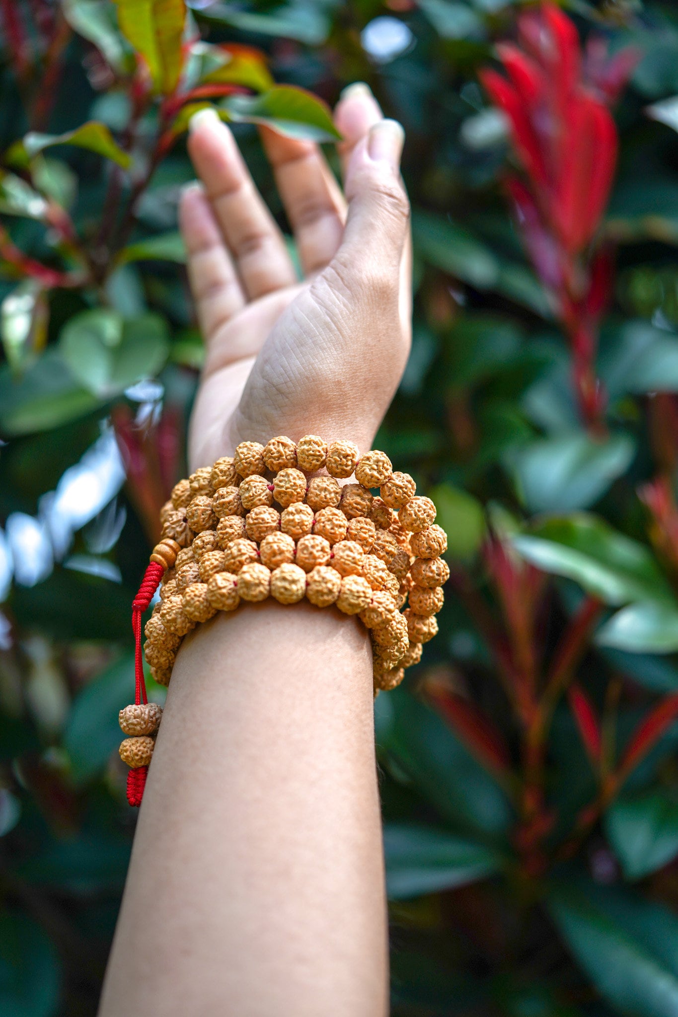 Natural Rudraksha Mala - Lucky Thanka