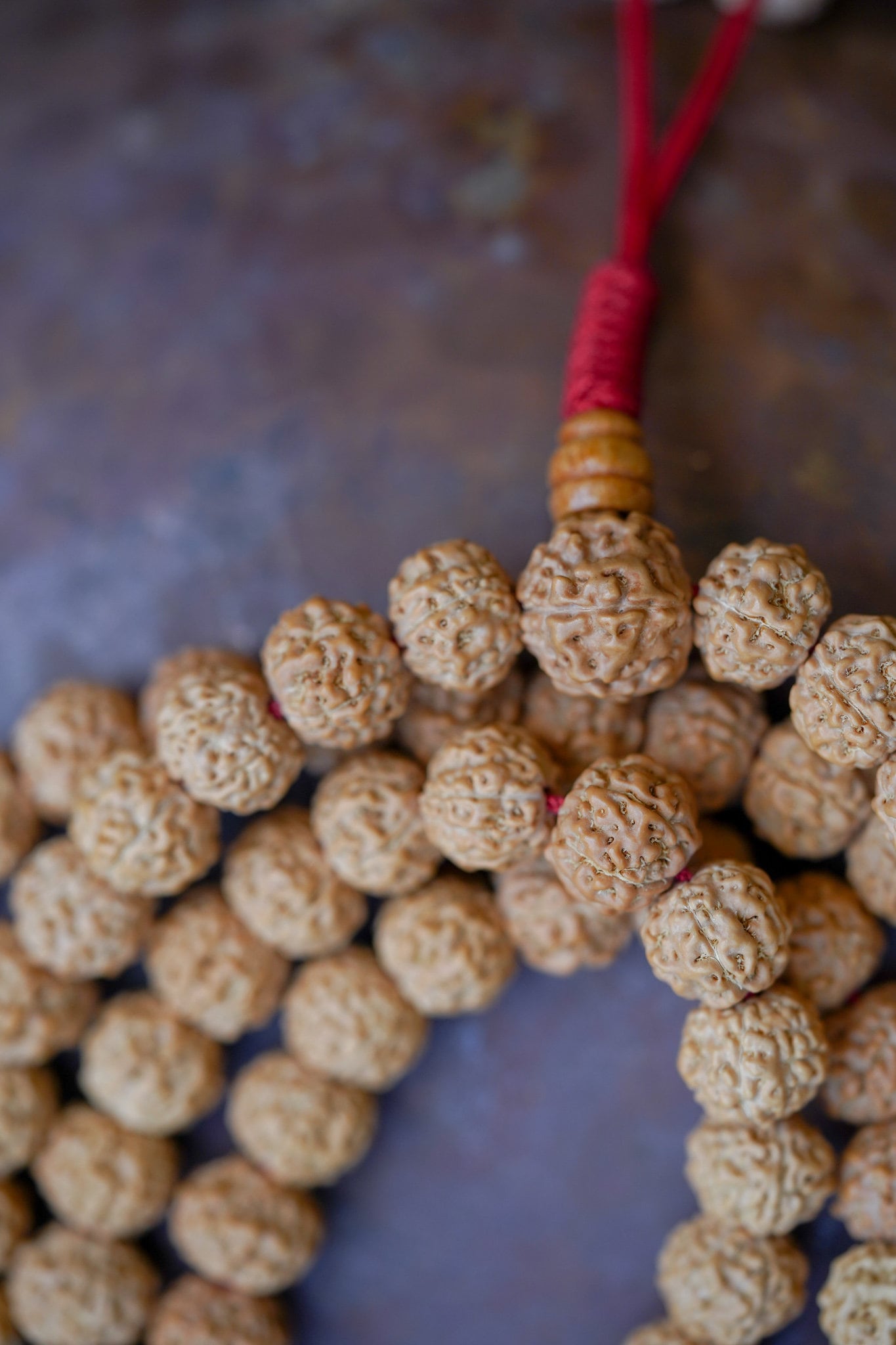 Natural Rudraksha Mala - Lucky Thanka