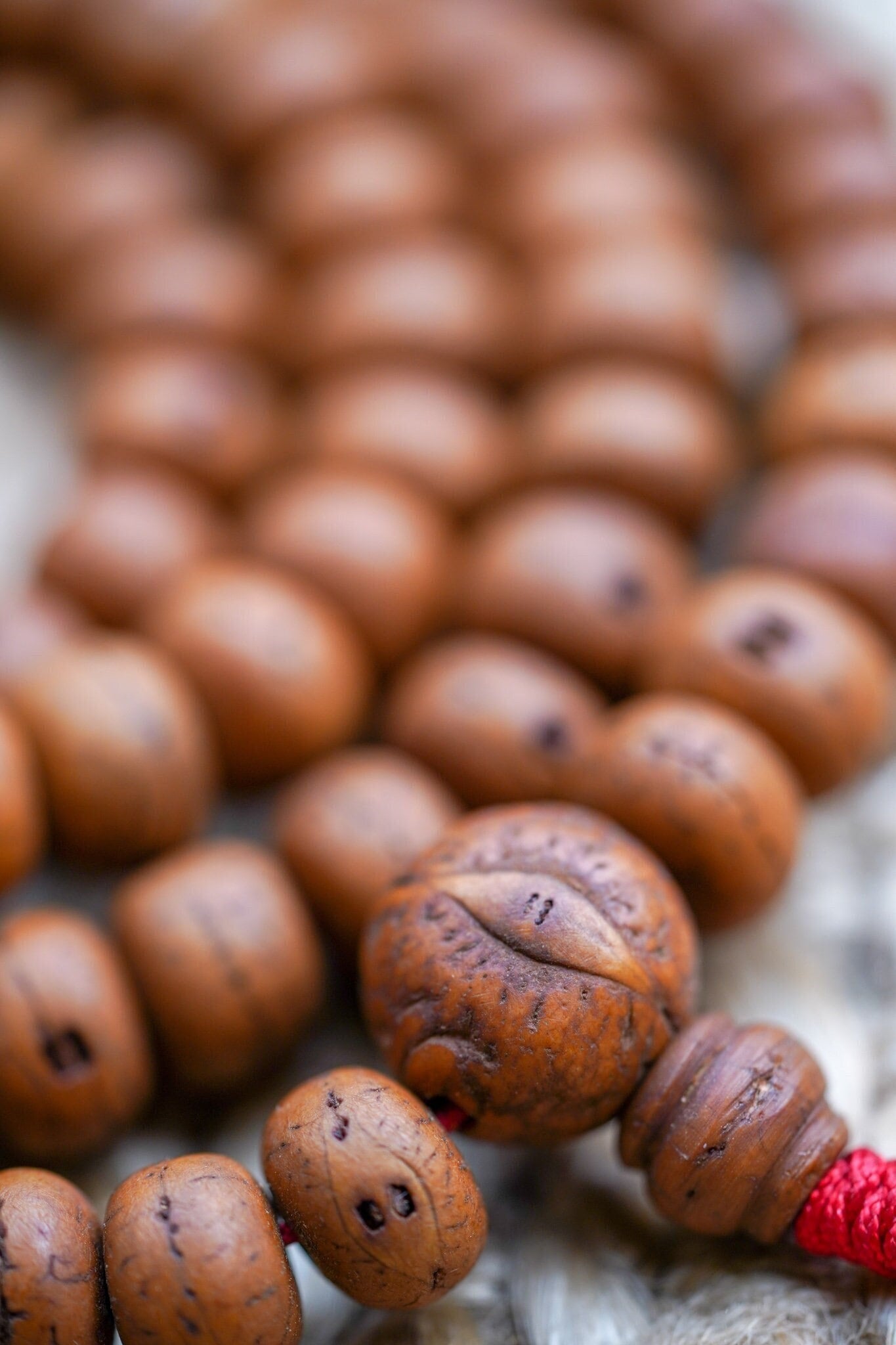 High Quality Bodhi Mala - Lucky Thanka