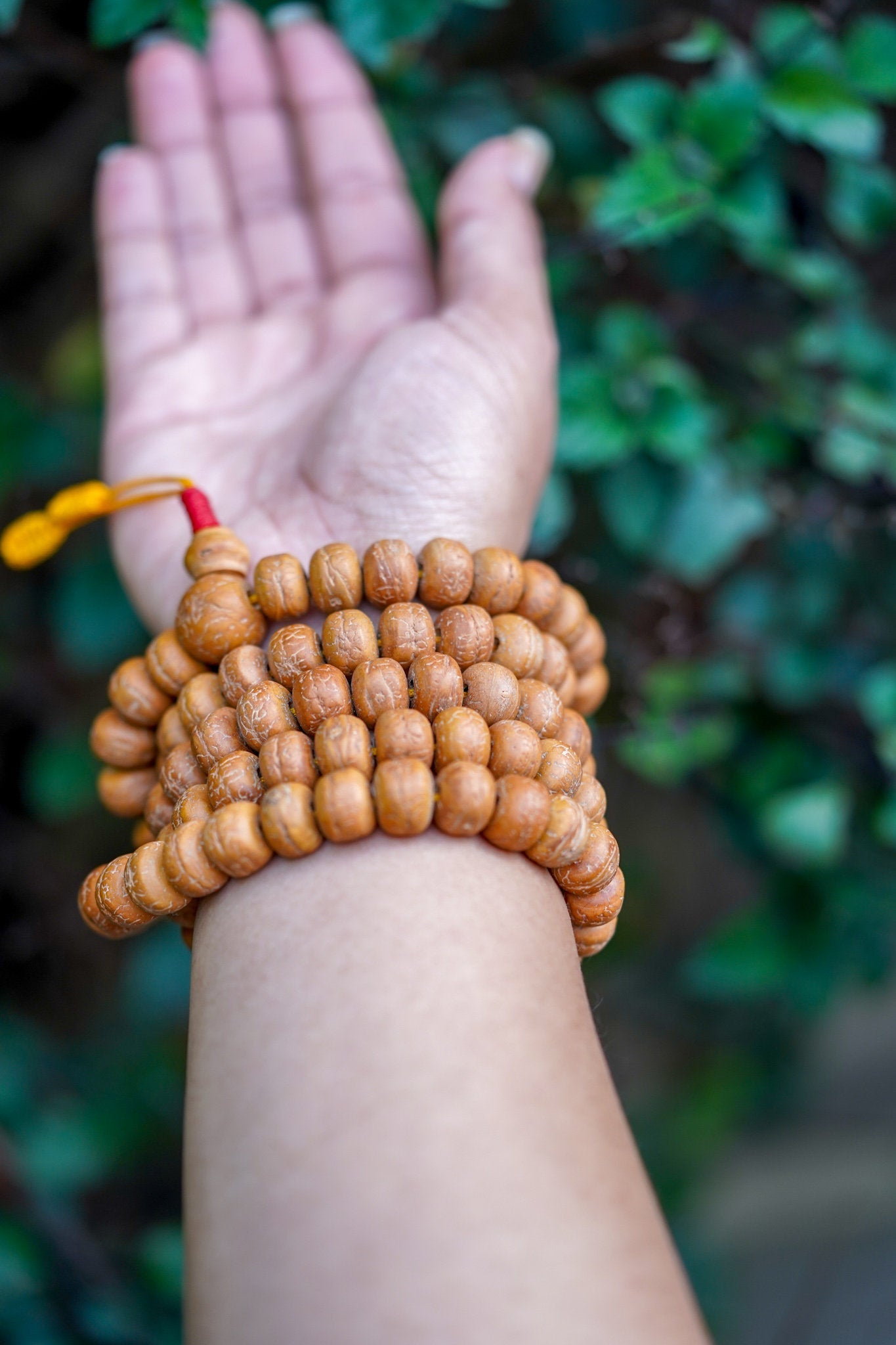 Genuine Bodhi Japa Mala - Lucky Thanka