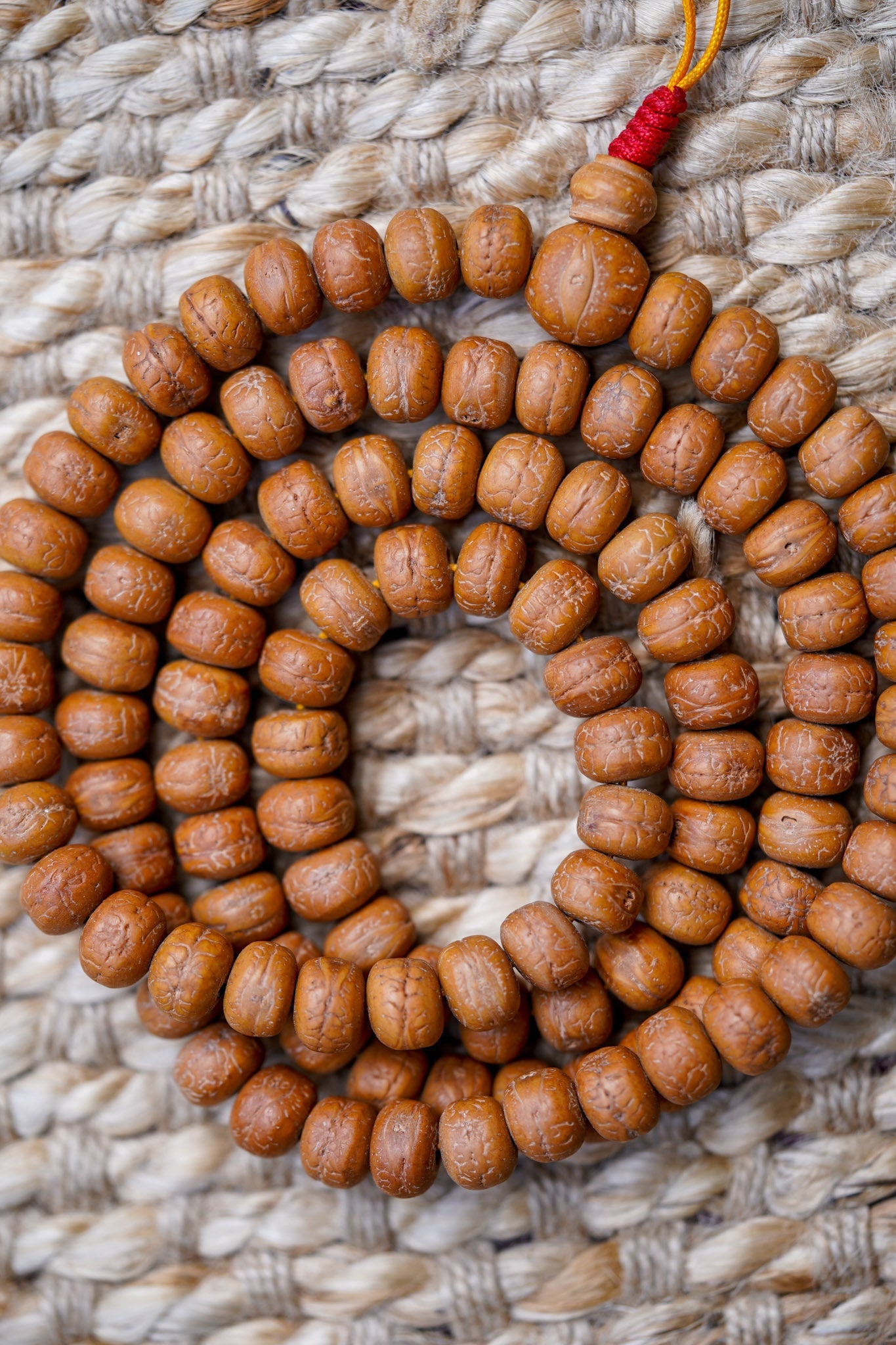 Genuine Bodhi Japa Mala - Lucky Thanka