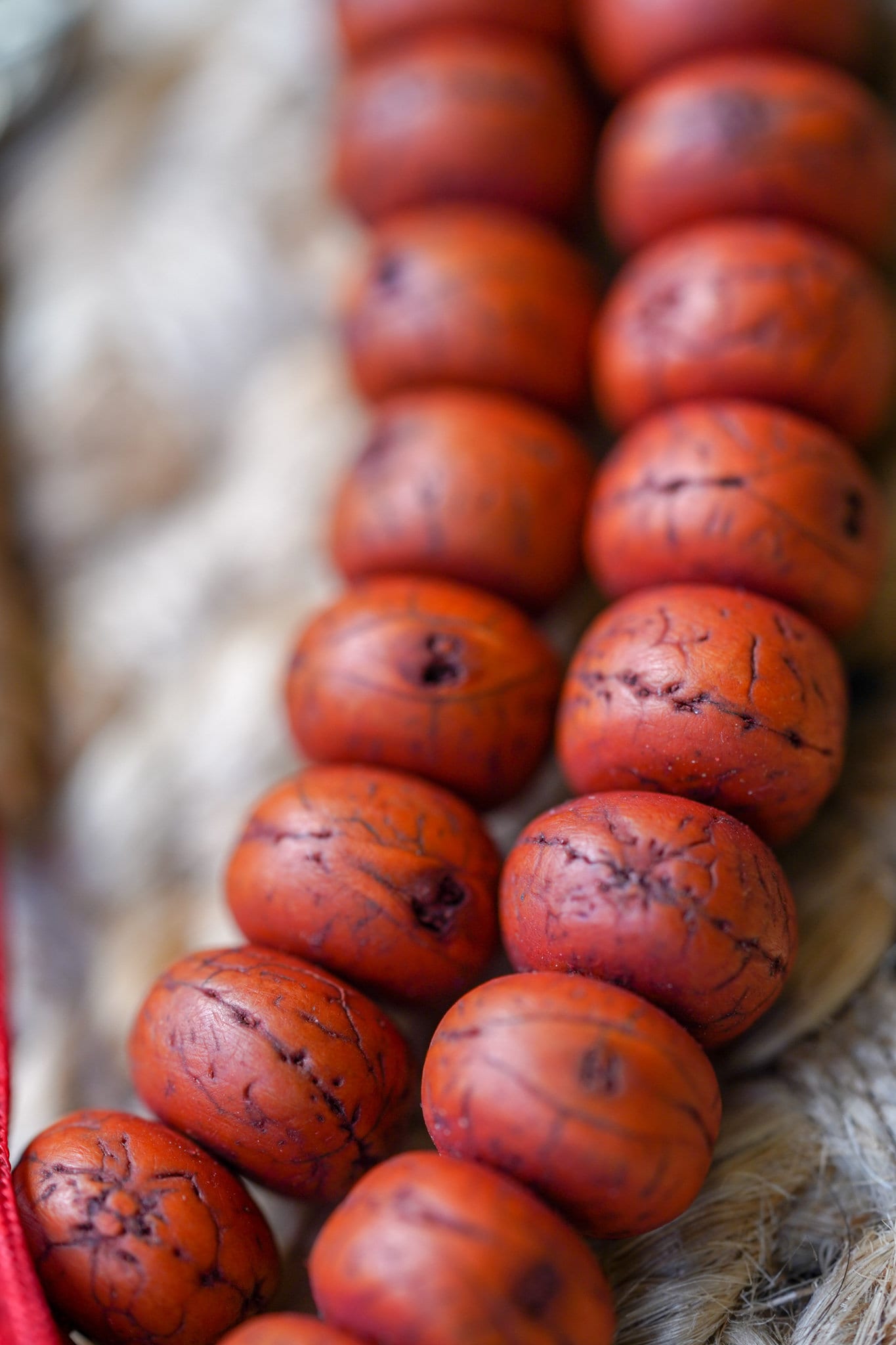 Rare Bodhi Bead with Bell & Vajra - Lucky Thanka