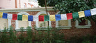 Wind horse prayer flag for spiritual hanging.