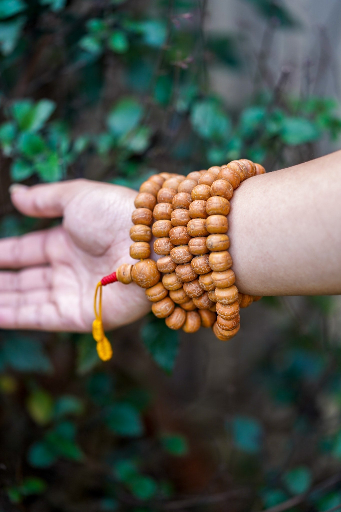 Genuine Bodhi Japa Mala - Bodhi Bead Shop – Lucky Thanka